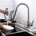 Abrantes Kitchen Sink Faucet with Pull Out Sprayer