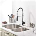 Milan Single Handle Kitchen Faucet with Pull Down Sprayer