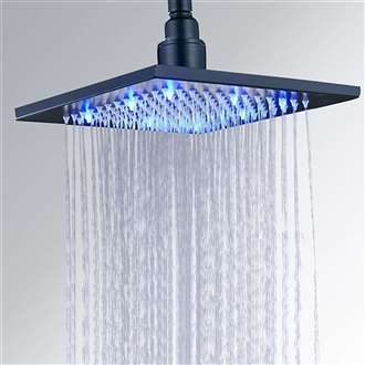 Delta Shower head