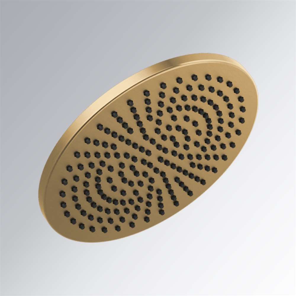 Delta good Shower Head (champagne bronze color)