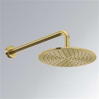 Delta Shower head