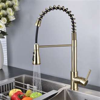 Fontana SÃ©nart Gold Finish No Sensor Stainless Steel Kitchen Faucet