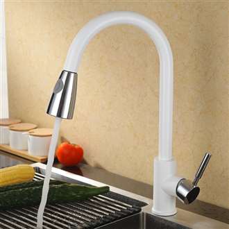 Fontana Dax Chrome White Sensorless Kitchen Faucet with Pull Down Sprayer