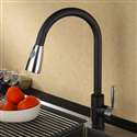 Fontana SÃƒÂ©nart Chrome Black Sensorless Kitchen Faucet with Pull Down Sprayer