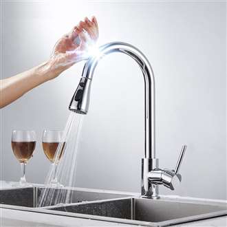 Fontana SÃ©nart Gooseneck Smart Sensor Chrome Finish Kitchen Faucet with Pull Down Sprayer