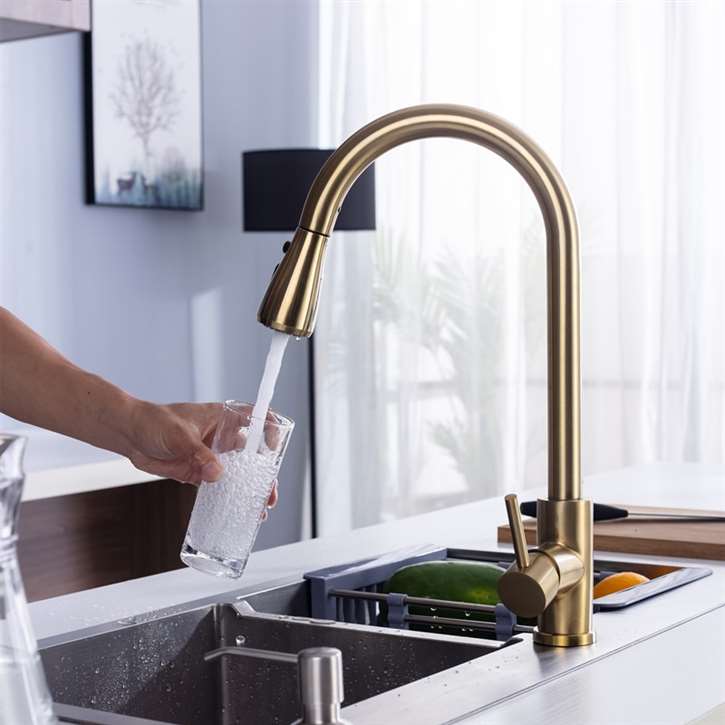 Fontana Lyon Gooseneck Sensorless Gold Finish Kitchen Faucet with Pull Down Sprayer