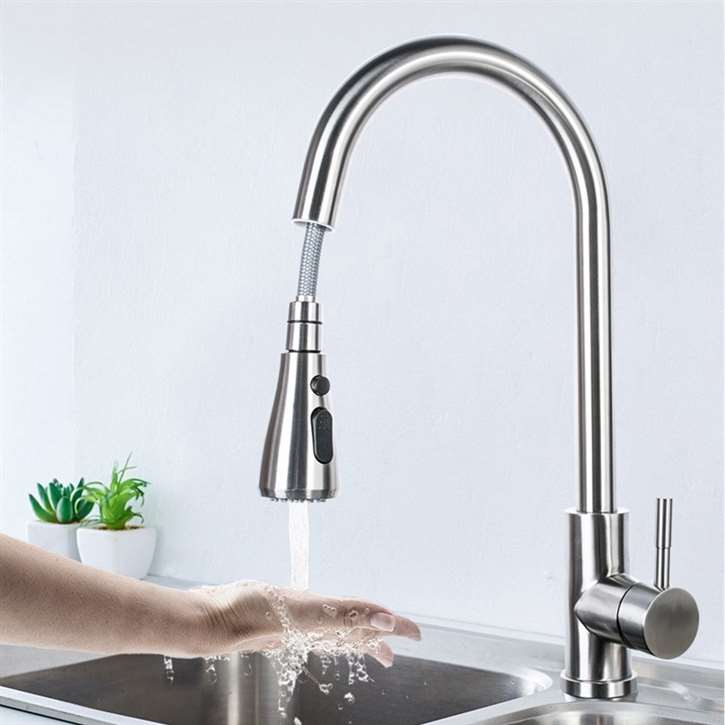 Kitchen Faucet outlet with Sprayer,Brushed Nickel Stainless Steel Kitchen Sink Faucet