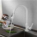 Fontana Valence White Finish Stainless Steel Kitchen Faucet with Pull Down Sprayer