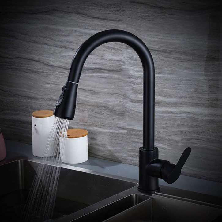 Fontana BollnÃ¤s Matte Black Finish Stainless Steel Kitchen Faucet with Pull Down Sprayer