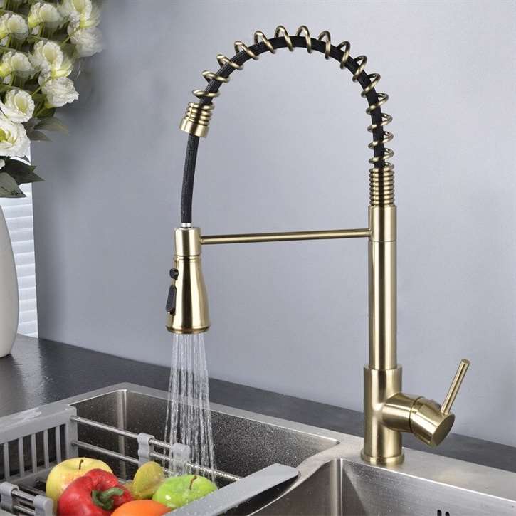 Fontana Dijon Gold Finish Stainless Steel Kitchen Faucet with Pull Down Sprayer