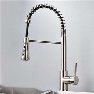 Fontana Creteil Brushed Nickel Finish Stainless Steel Kitchen Faucet with Pull Down Sprayer