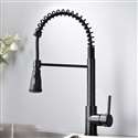 Fontana Geneva Matte Black Finish Stainless Steel Kitchen Faucet with Pull Down Sprayer