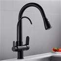 Fontana SÃƒÂ¨te Pull Down with Filter Control Kitchen Faucet in Matte Black Finish