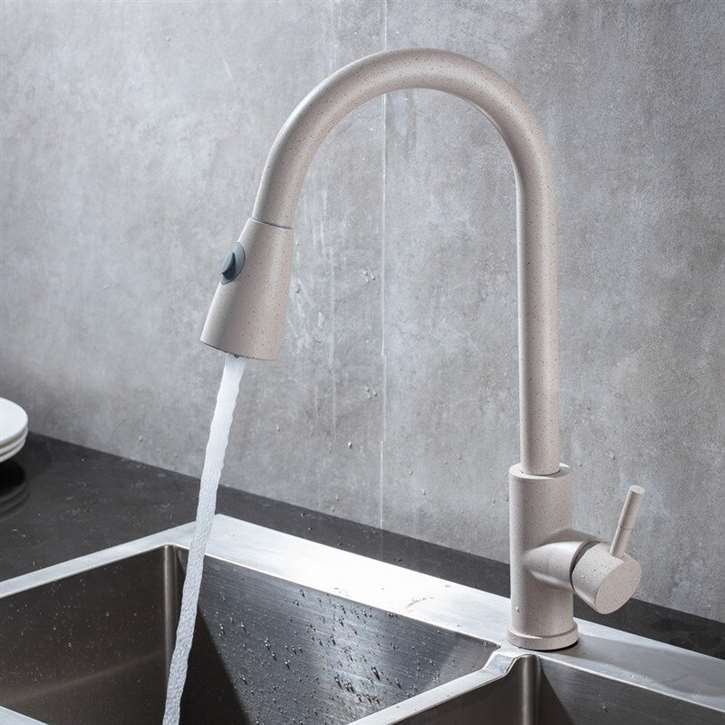 Fontana Toulouse Gray Finish with Pull Down Sprayer Kitchen Faucet