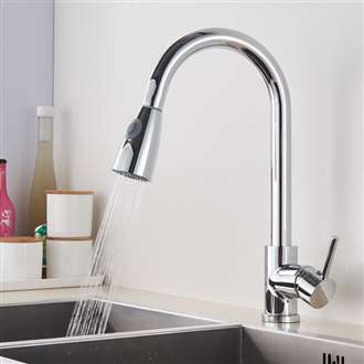 Fontana Valence Chrome Finish with Pull Down Sprayer Kitchen Sink Faucet