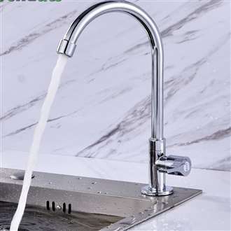 Fontana SÃƒÂ¨te Gooseneck Zinc Alloy Single Handle Cold Kitchen Sink Faucet