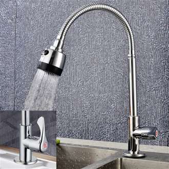 Fontana Carpi Gooseneck Round Head Kitchen Sink Faucet Chrome Finish