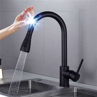 Fontana Lyon Matte Black Finish Kitchen Sink Stainless Steel Faucet