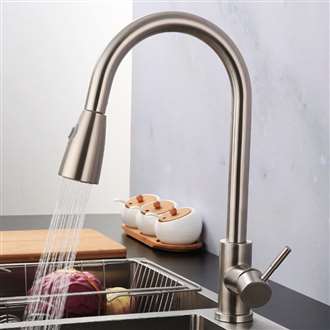 Buy the Brushed Nickel Kitchen Faucet at Fontana Showers