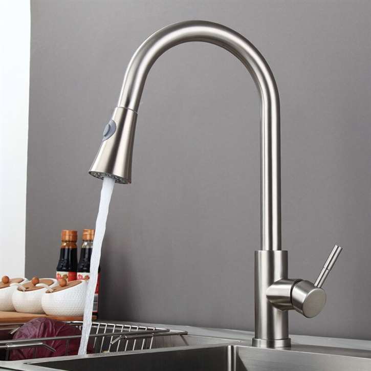 kohler simplice semiprofessional kitchen sink faucet