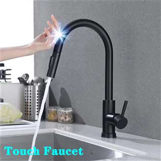 Fontana Creteil 360 Rotation Pull Out Sprayer Sensor Touch Kitchen Faucet in Matte Black Finish