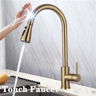 Fontana® Le Havre Gold Gooseneck Pull Out Sprayer Sensor Touch Kitchen Sink Faucet