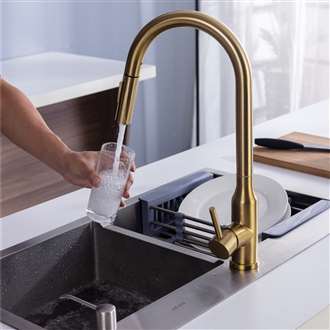 Fontana Marseille Gold 360 Rotation Kitchen Sink Faucet with Pull Out Sprayer