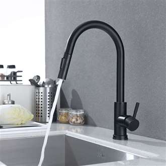 Fontana Bavaria Matte Black 360 Rotation Kitchen Sink Faucet with Pull Out Sprayer