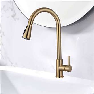 Fontana Cholet 360 Rotation Pull Out Sprayer with Button For Two Way Flow in Gold Kitchen Sink Faucet