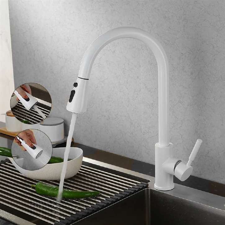 Fontana Lyon 360 Rotation Pull Out Sprayer with Button For Two Way Flow in White Kitchen Sink Faucet