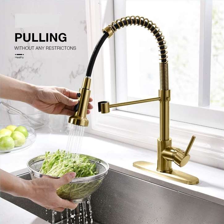 Fontana Dijon Gold Kitchen Faucet with Pull Down Sprayer Single Handle Kitchen Sink Faucet with Deck Plate