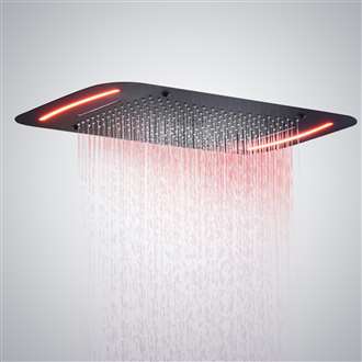 Delta Shower head