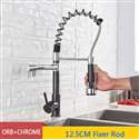 Kitchen Sink Faucet with Pull Out Sprayer