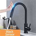 Kitchen Sink Faucet with Pull Out Sprayer