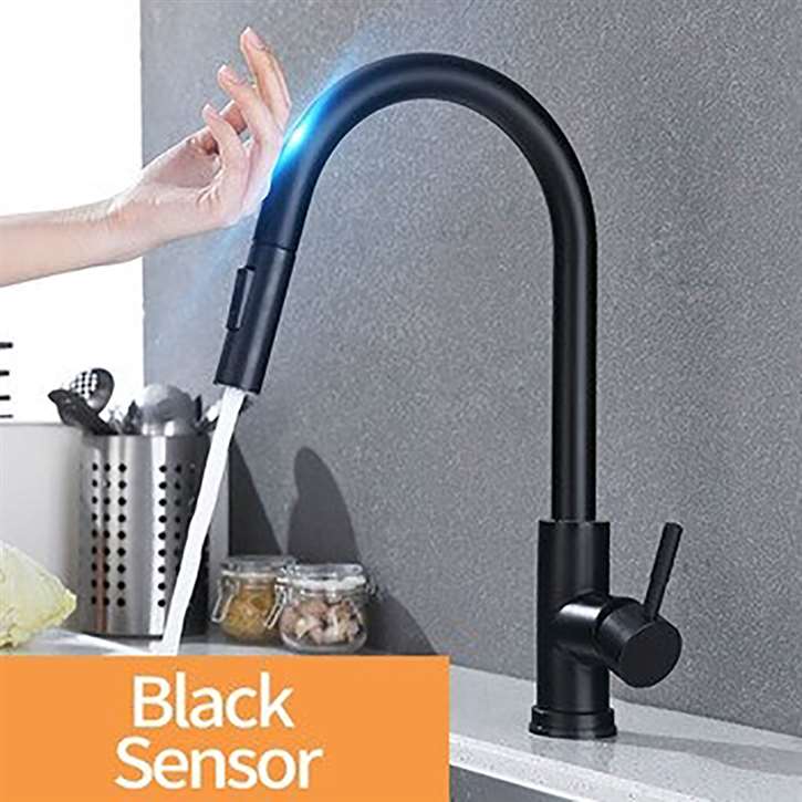 Kitchen Sink Faucet with Pull Out Sprayer