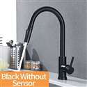 Kitchen Sink Faucet with Pull Out Sprayer