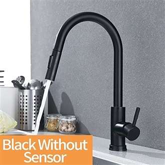 Kitchen Sink Faucet with Pull Out Sprayer