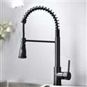 Kitchen Sink Faucet with Pull Out Sprayer