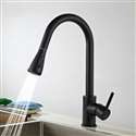 Kitchen Sink Faucet with Pull Out Sprayer