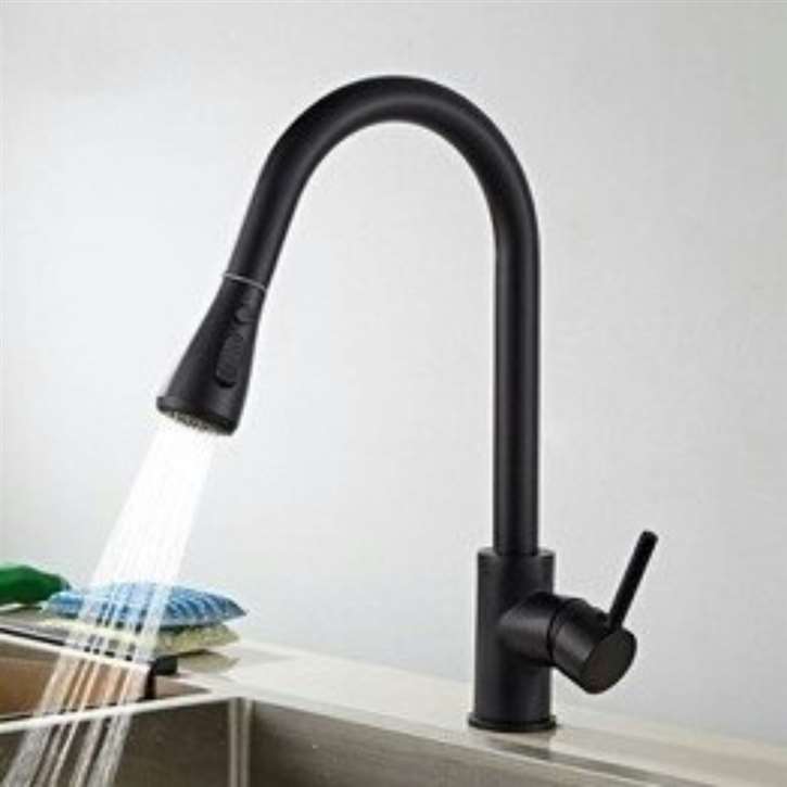 Kitchen Sink Faucet with Pull Out Sprayer