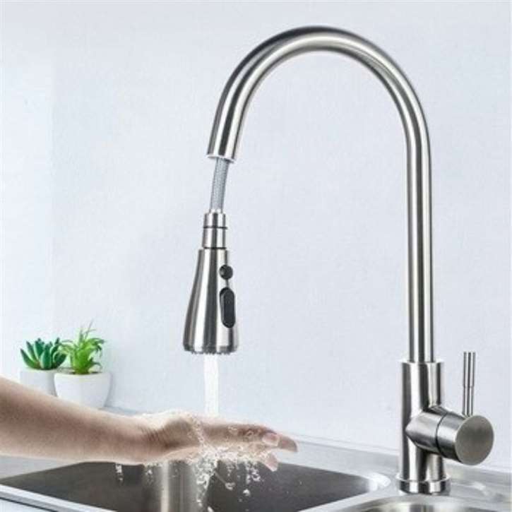 Kitchen Sink Faucet with Pull Out Sprayer