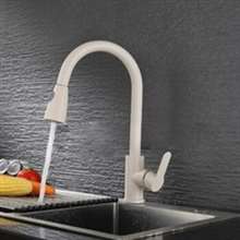 Kitchen Sink Faucet with Pull Out Sprayer