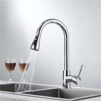 Kitchen Sink Faucet with Pull Out Sprayer