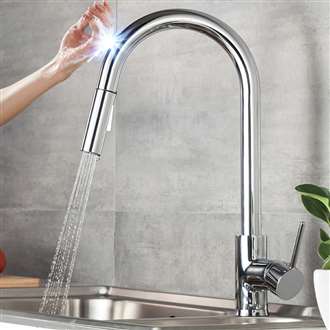 Kitchen Sink Faucet with Pull Out Sprayer