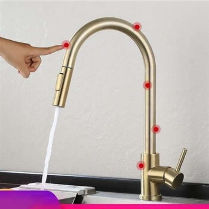 Kitchen Sink Faucet with Pull Out Sprayer