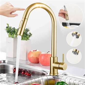 Kitchen Sink Faucet with Pull Out Sprayer