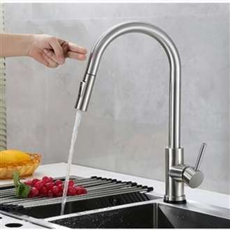 Kitchen Sink Faucet with Pull Out Sprayer