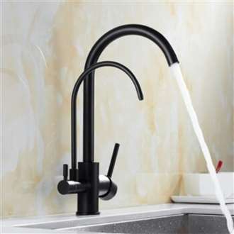 Water Faucet Fontana Kitchen Sink Dual Faucet Tap Water Filter Water Double Outlet in Black