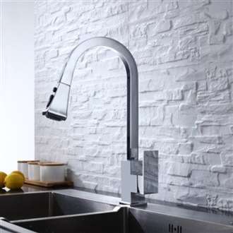 Kitchen Sink Faucet with Pull Out Sprayer