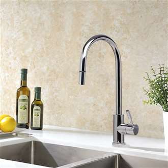 Fontana Banes Ceramic Disc Sink Designer Faucet